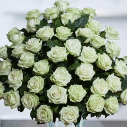 The Color of Your Day - 48 Stems In Bouquet